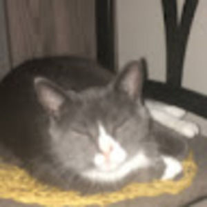 Meet your Posher, Erik